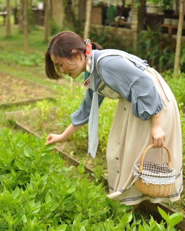 Trang trại Sạch Việt